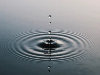 Kapky vody vytvářející kruhy na klidné hladině – symbol rovnováhy a hydratace při geocachingu - voda na výletě