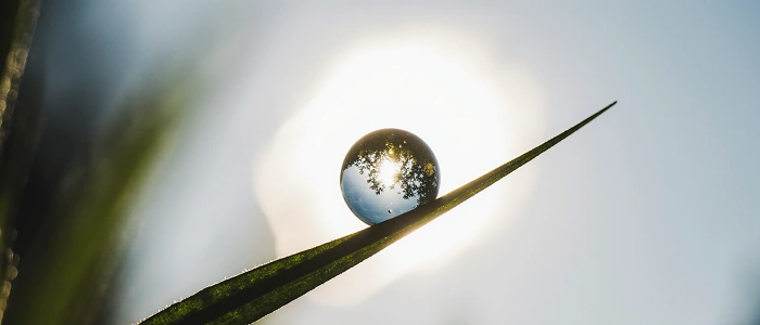 Kapka rosy na špičce listu odrážející slunce a přírodu – symbol rovnováhy a životní energie.