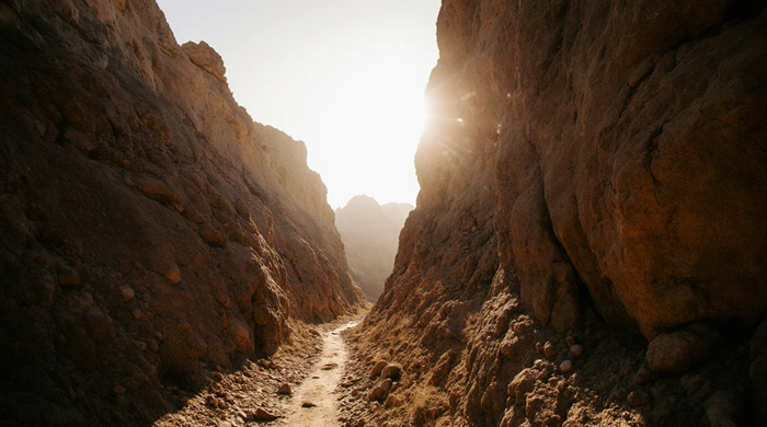 Jak geocaching zlepšuje náladu, fyzickou kondici i sociální život hráčů