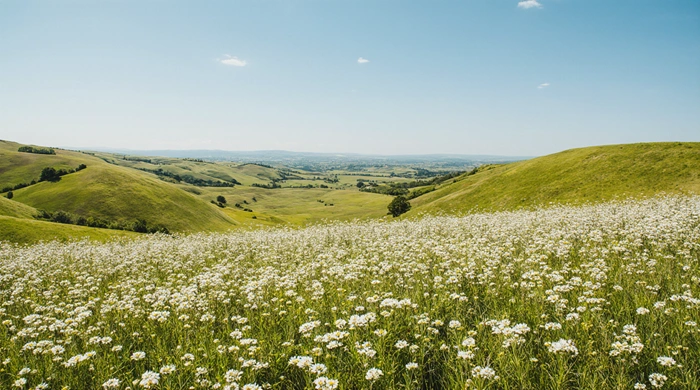 Drobné úspěchy v geocachingu podporující dobrý pocit a motivaci