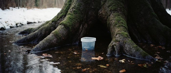Plastová krabička stojící ve vodě pod kořenem stromu symbol špatně umístěné geocache