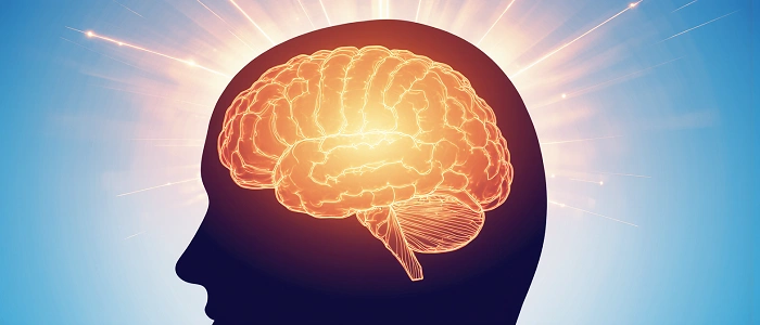 Ilustrace lidského mozku se zvýrazněnými aktivními oblastmi symbolizujícími rozhodování, motivaci a práci s cíli