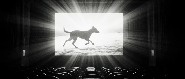 Černobílý film se psem na plátně kina jako téma zakládání keší 2026