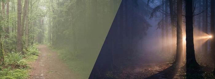 lesní cesta ve dne a v noci, porovnání geocachingu, čelovka osvětluje les