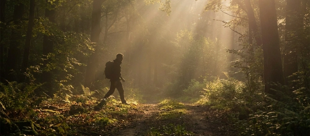 Když se vydáte za keší: cesta lesem, kde začíná dobrodružství
