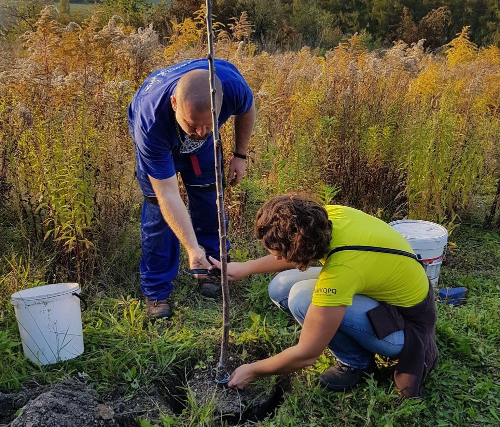 GeoCvrCITO úklid přírody a sázení stromu během geocachingové akce