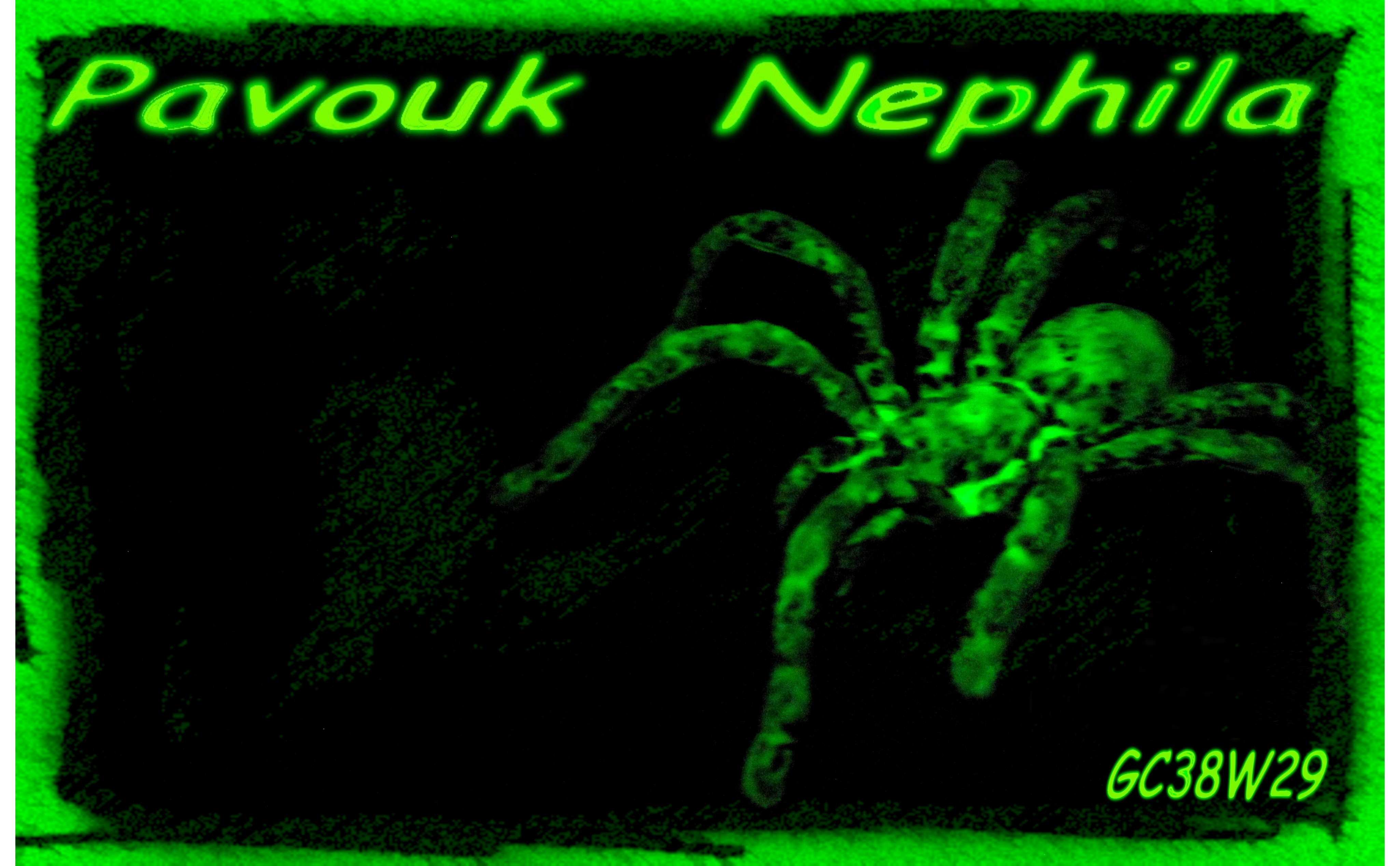 Pavouk Nephila aneb jak jsem jako dítě hltal komiksy…