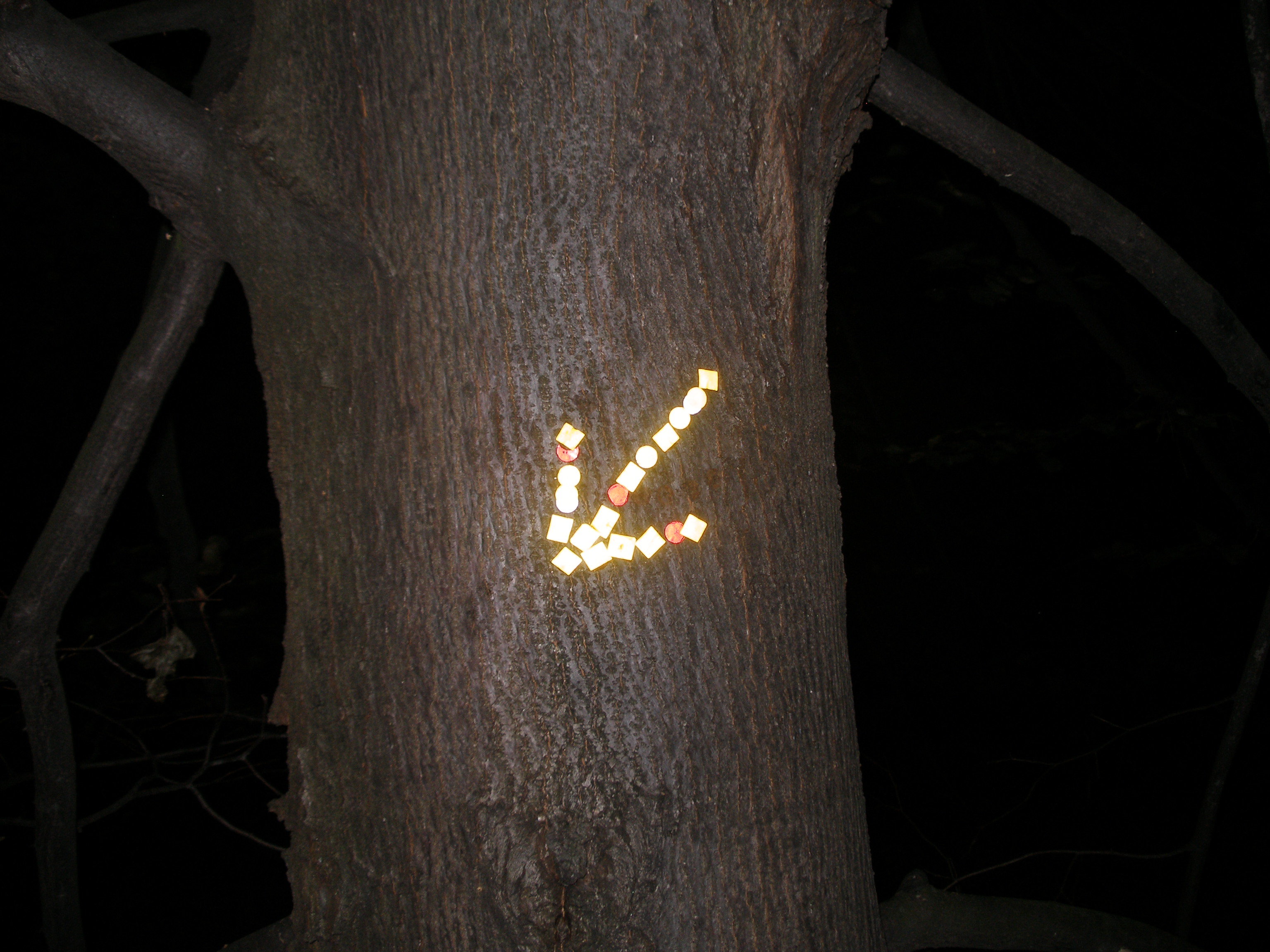 Noční pouť s baterkou